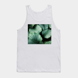 Luscious ferns II Tank Top